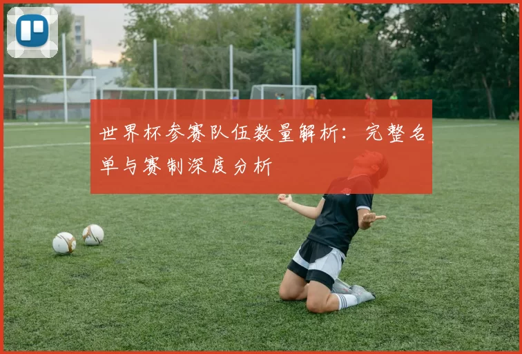 世界杯参赛队伍数量解析:完整名单与赛制深度分析