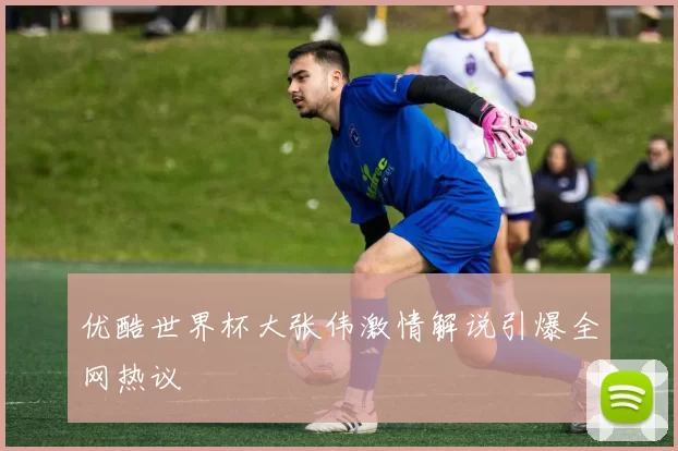 优酷世界杯大张伟激情解说引爆全网热议