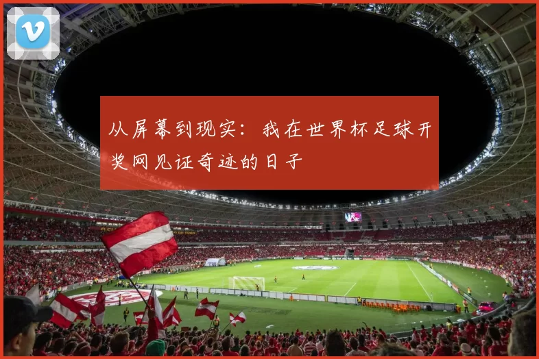 从屏幕到现实:我在世界杯足球开奖网见证奇迹的日子