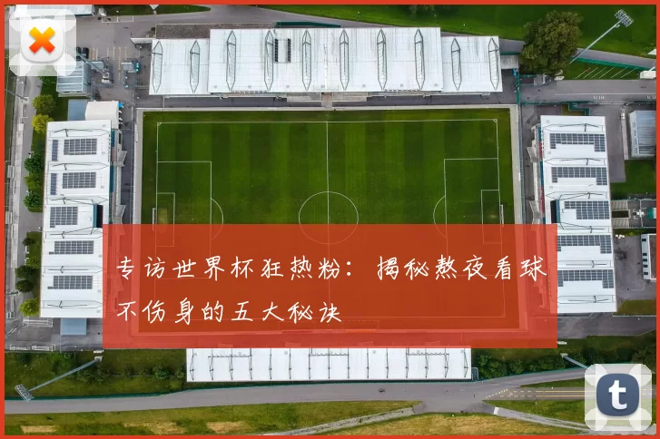 专访世界杯狂热粉:揭秘熬夜看球不伤身的五大秘诀