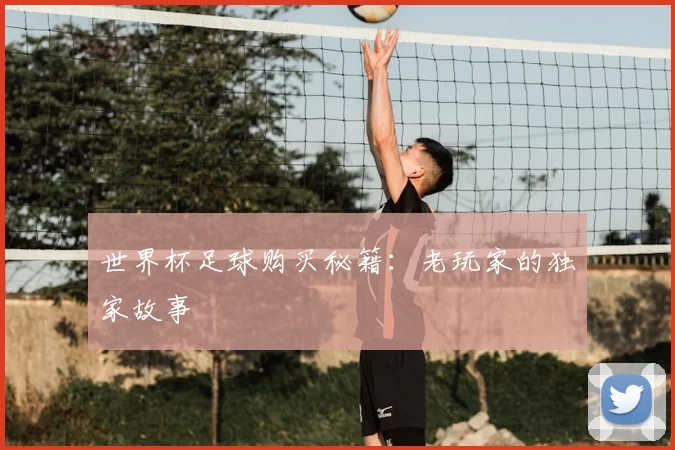 世界杯足球购买秘籍:老玩家的独家故事