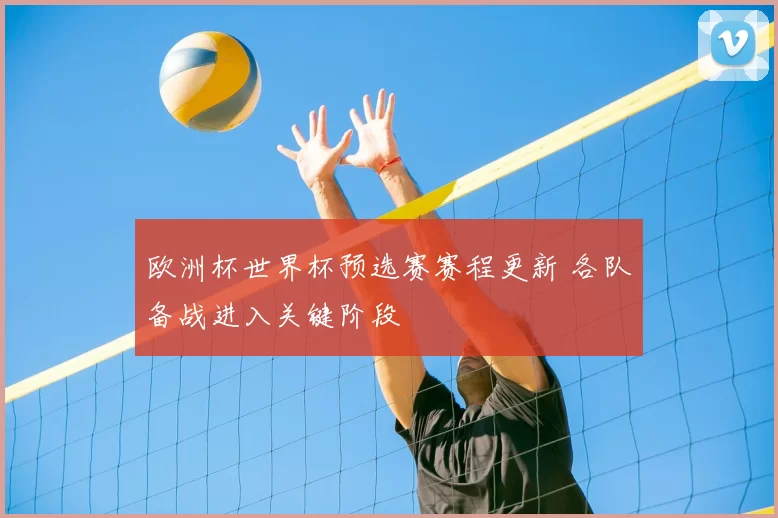 欧洲杯世界杯预选赛赛程更新 各队备战进入关键阶段