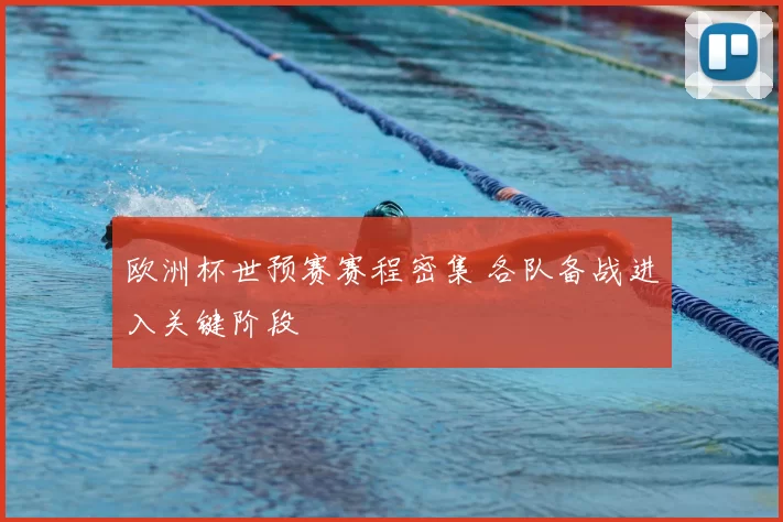 欧洲杯世预赛赛程密集 各队备战进入关键阶段