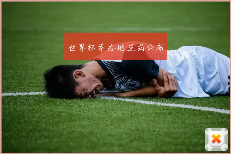 世界杯举办地正式公布