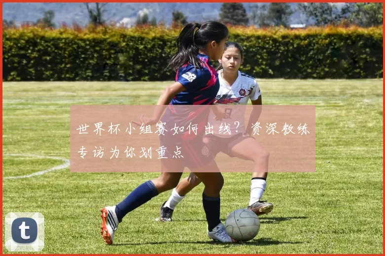 世界杯小组赛如何出线?资深教练专访为你划重点