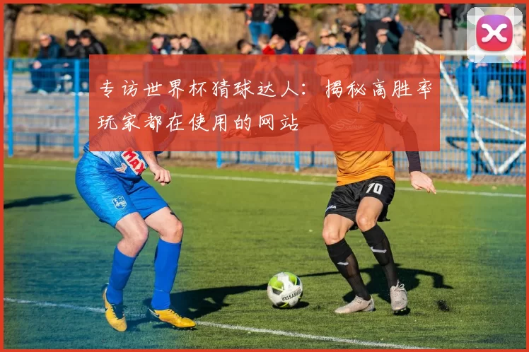 专访世界杯猜球达人：揭秘高胜率玩家都在使用的网站