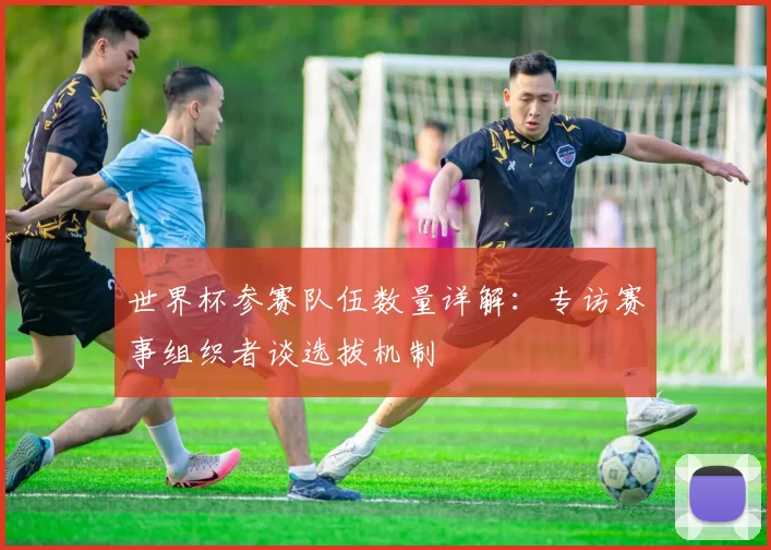 世界杯参赛队伍数量详解:专访赛事组织者谈选拔机制