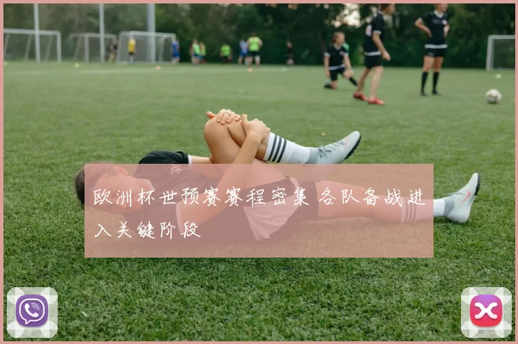 欧洲杯世预赛赛程密集 各队备战进入关键阶段