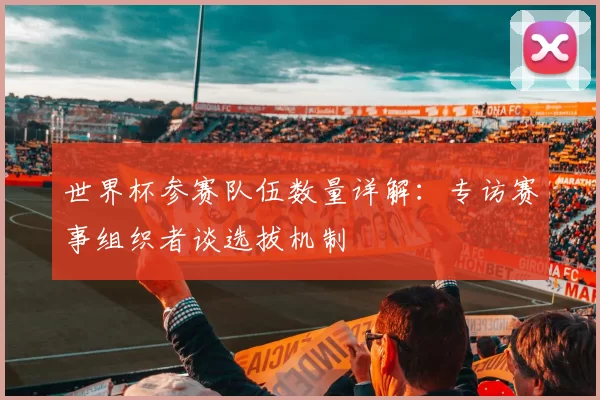 世界杯参赛队伍数量详解:专访赛事组织者谈选拔机制